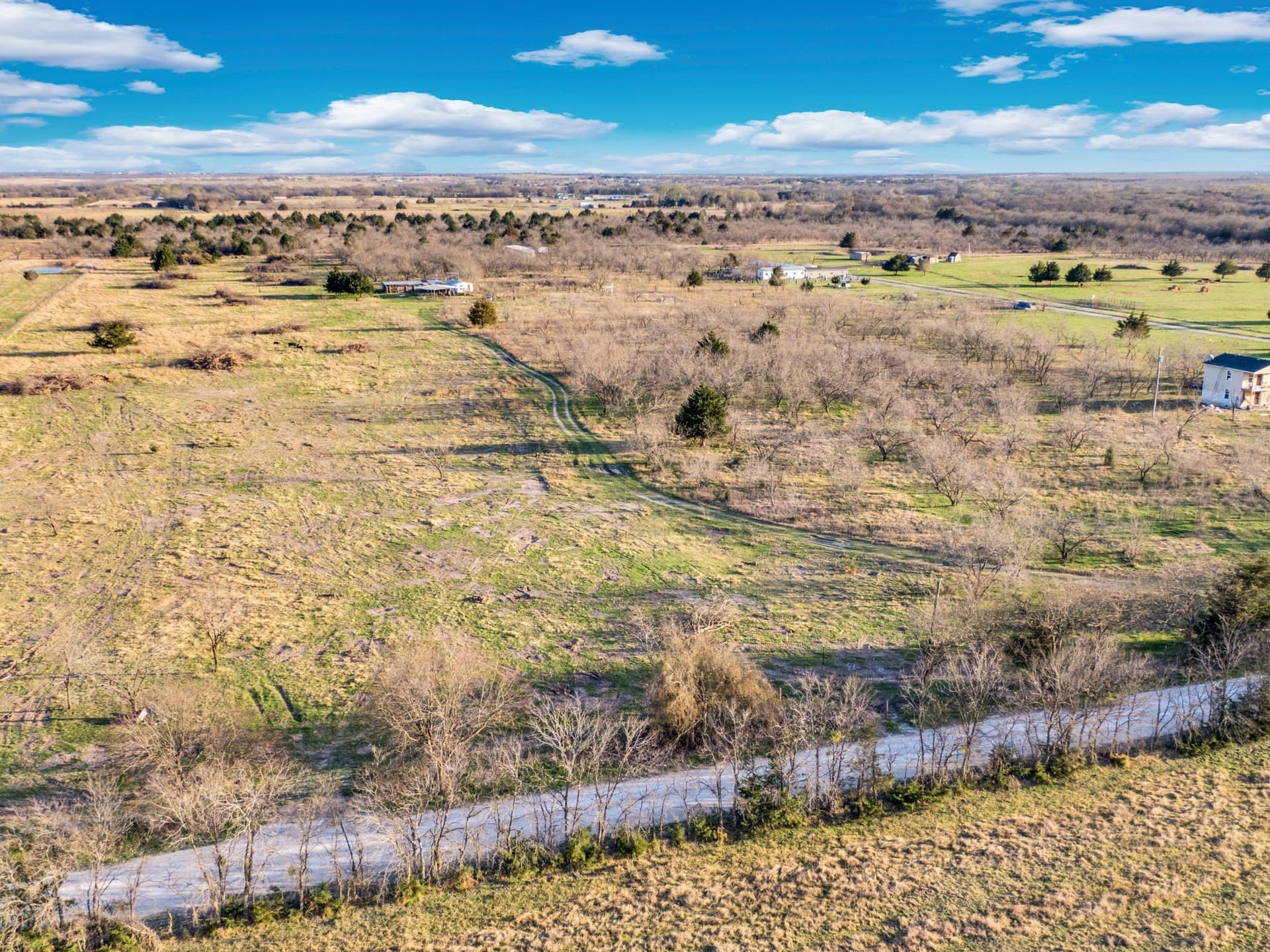 10.1 acres in Navarro County - photo 22
