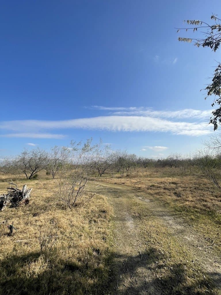 10.1 acres in Navarro County - photo 12