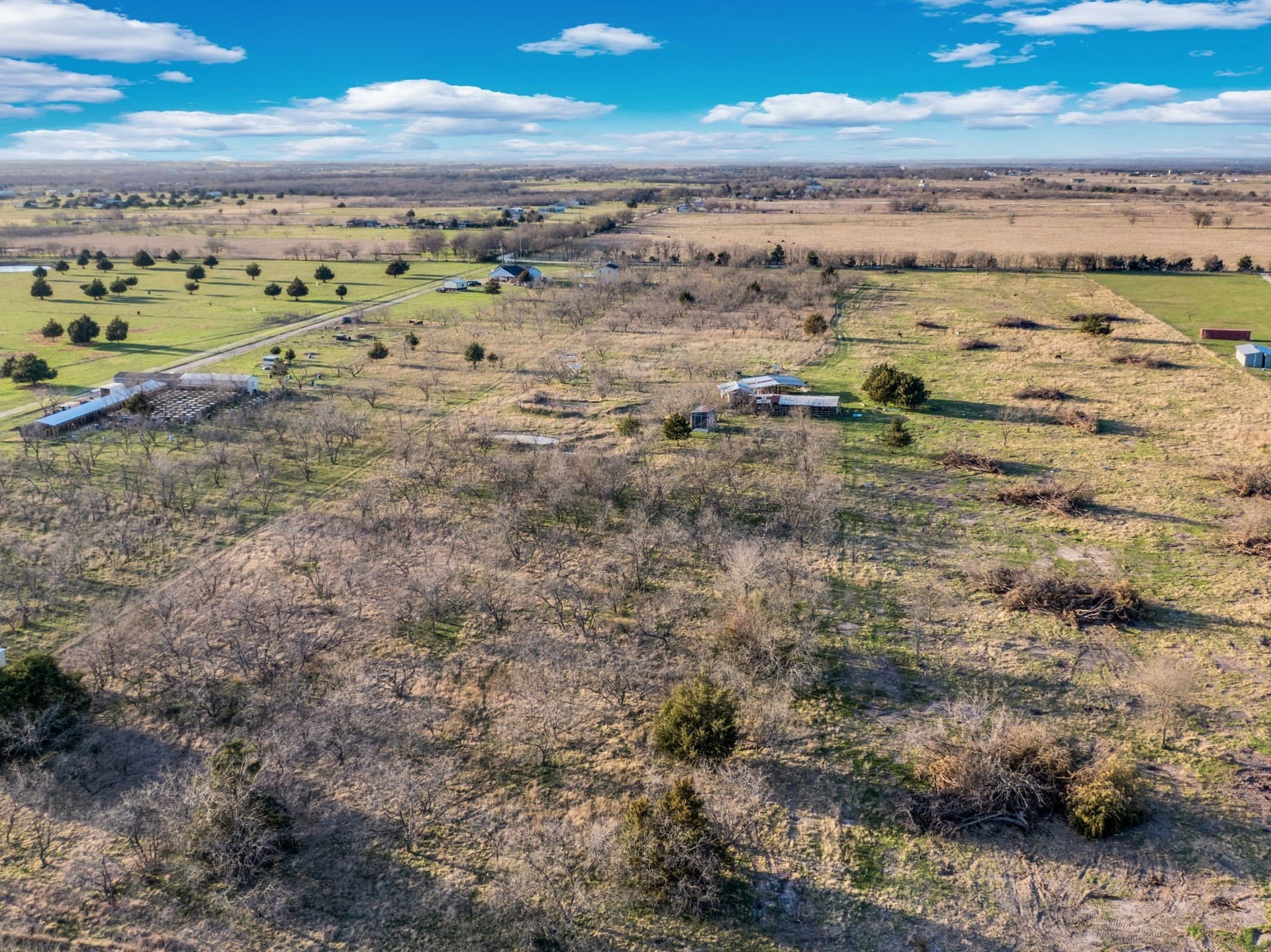 10.1 acres in Navarro County - photo 16