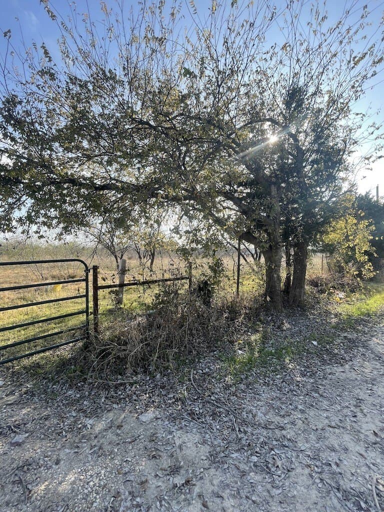 10.1 acres in Navarro County - photo 28