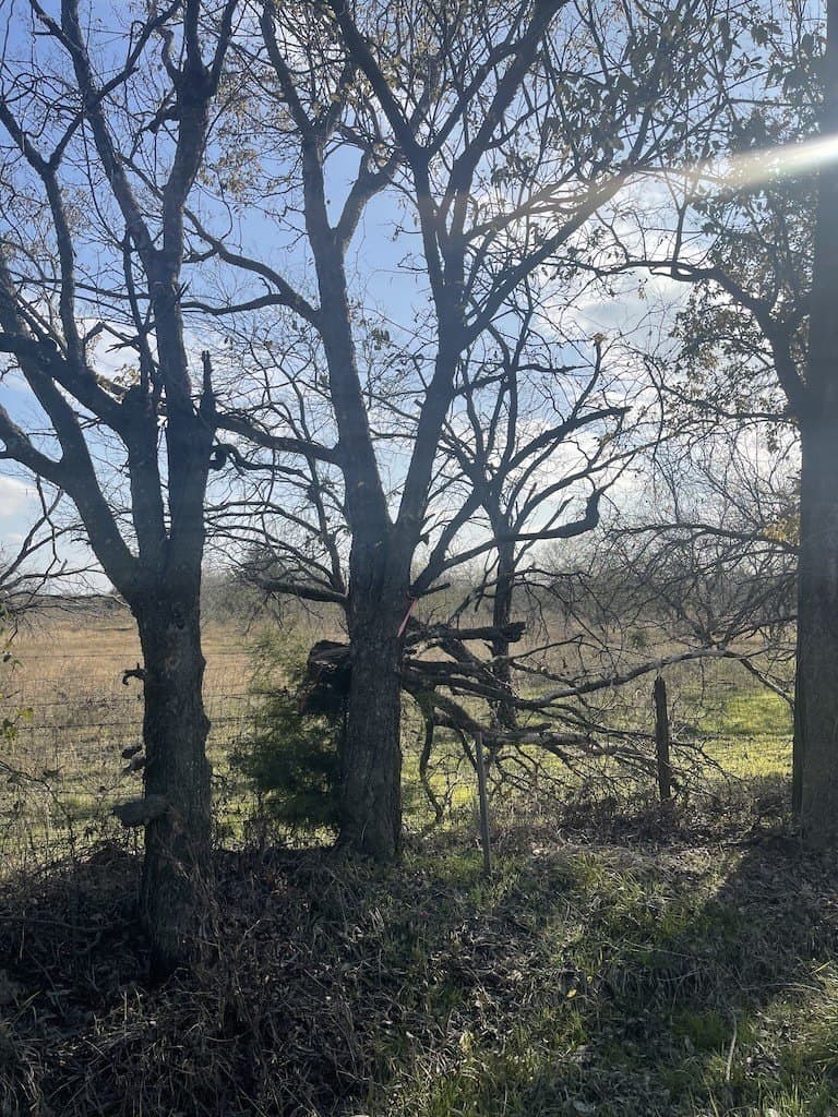 10.1 acres in Navarro County - photo 29