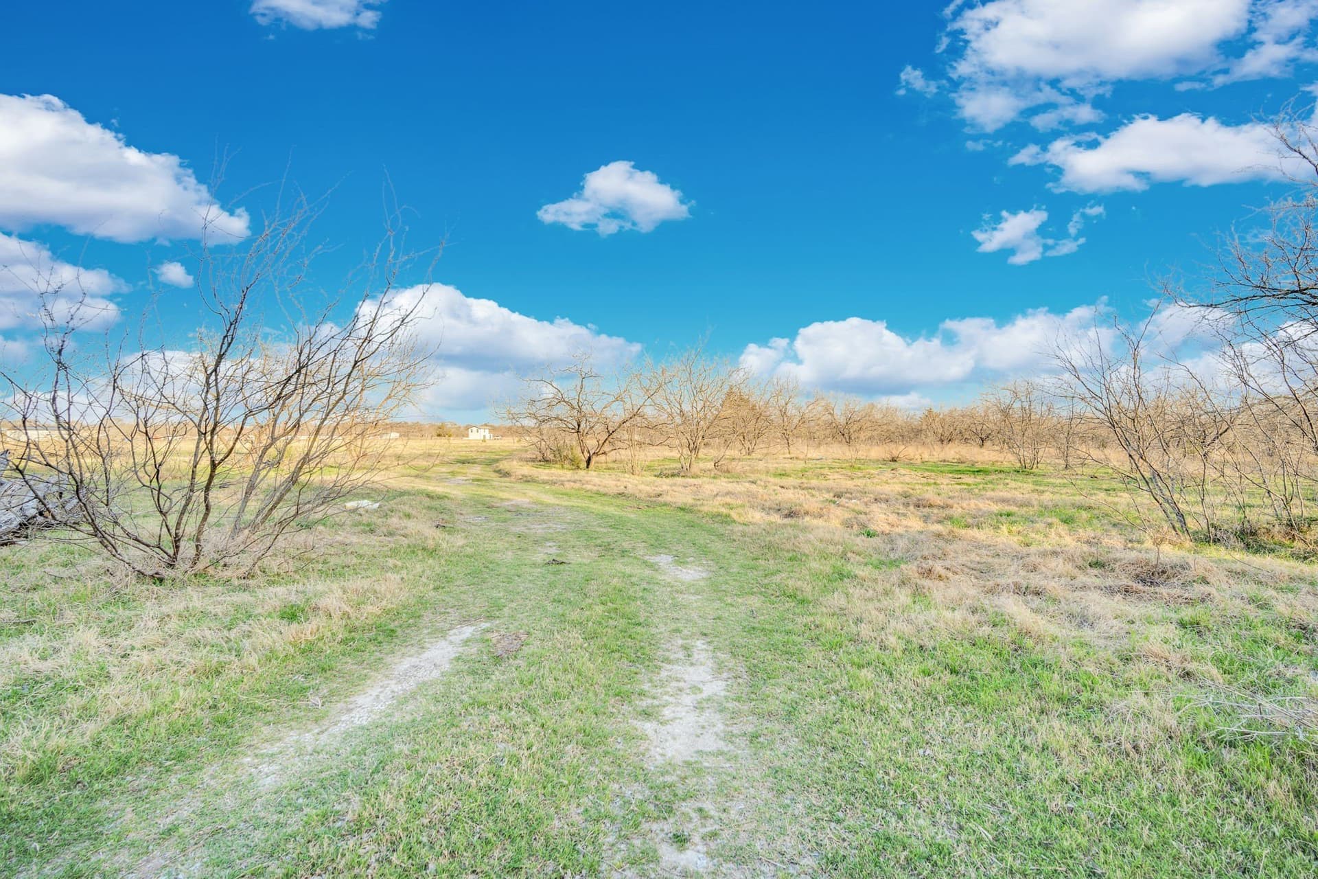 10.1 acres in Navarro County - photo 14