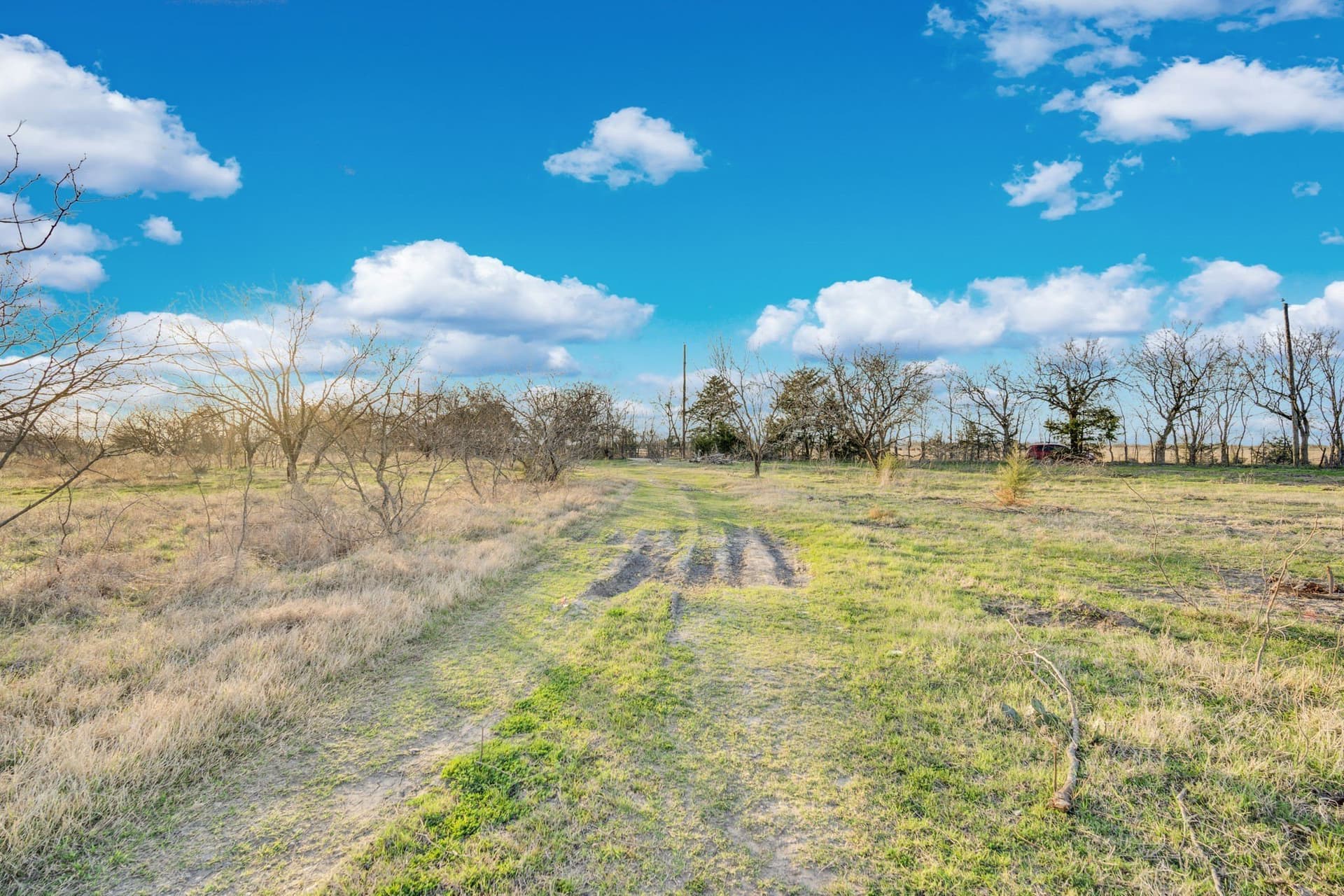 10.1 acres in Navarro County - photo 13