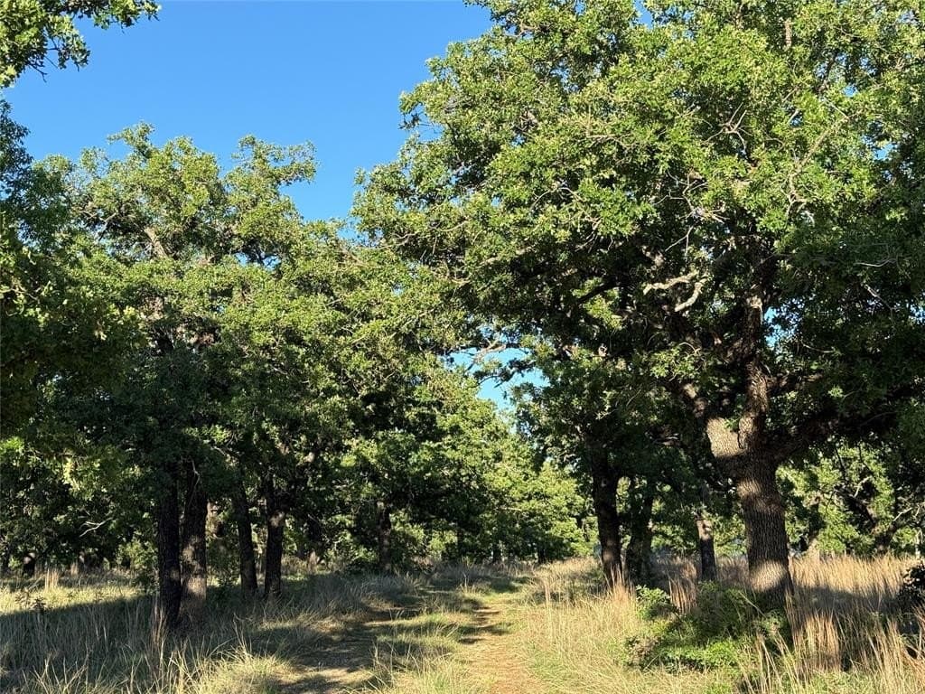 257.5 acres in Brown County gallery image 4