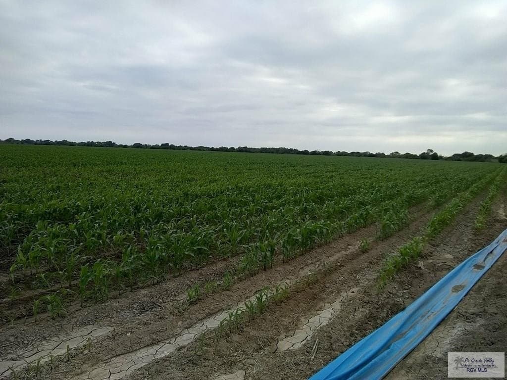 120.77 acres in CAMERON County gallery image 2