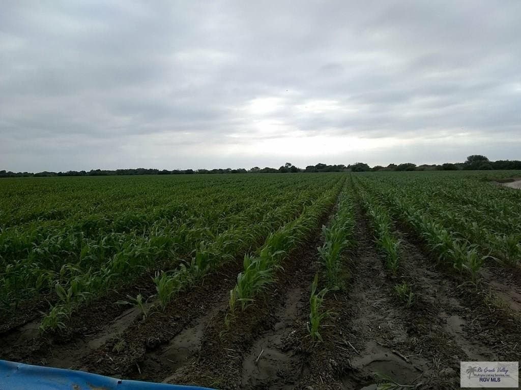 120.77 acres in CAMERON County gallery image 3