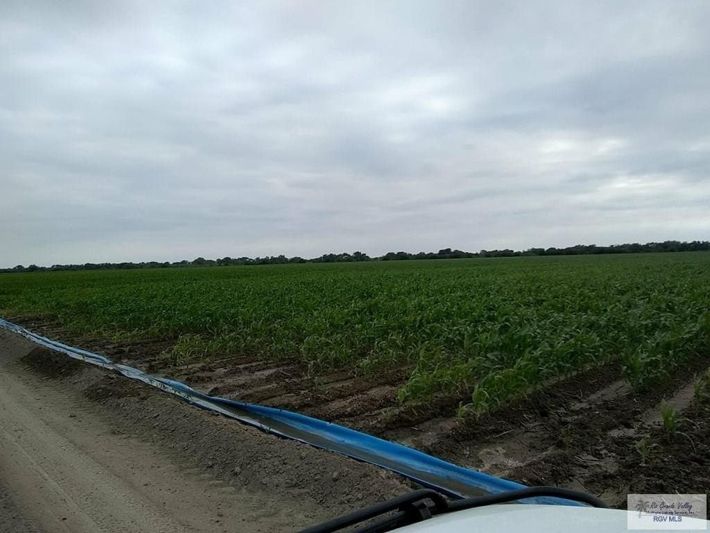120.77 acres in CAMERON County gallery image 4