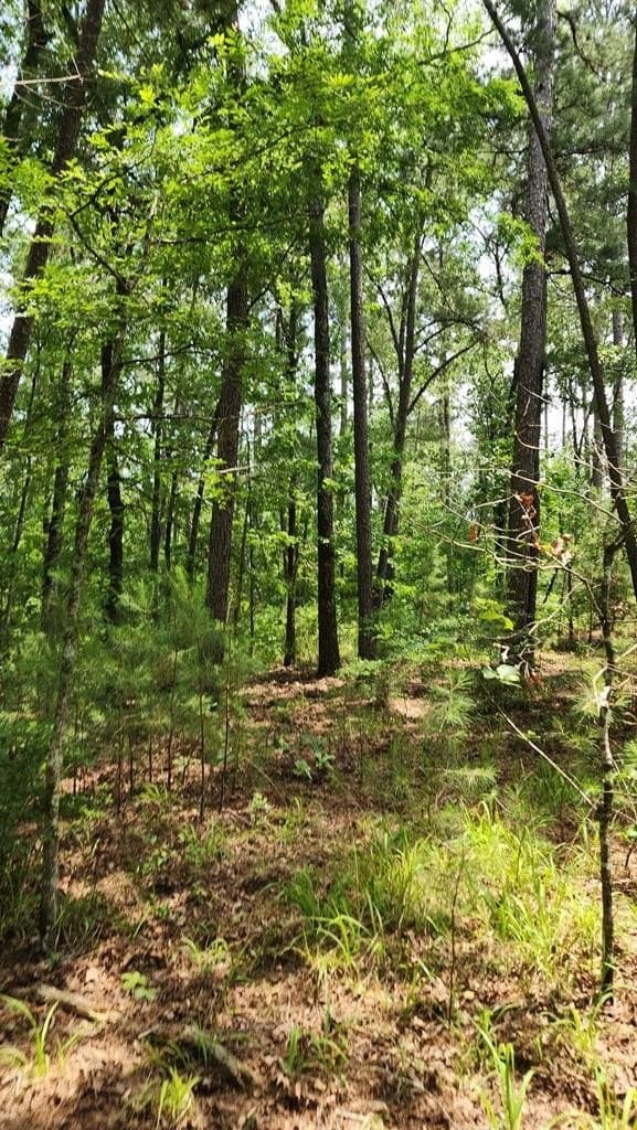 79.26 acres in Texas County - photo 8
