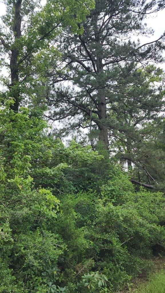 79.26 acres in Texas County - photo 5