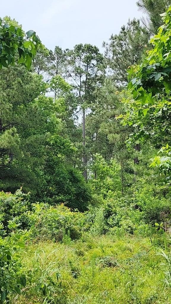 79.26 acres in Texas County - photo 10