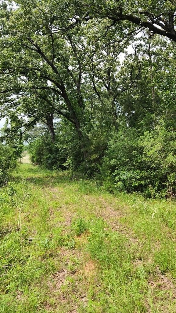 79.26 acres in Texas County - photo 2