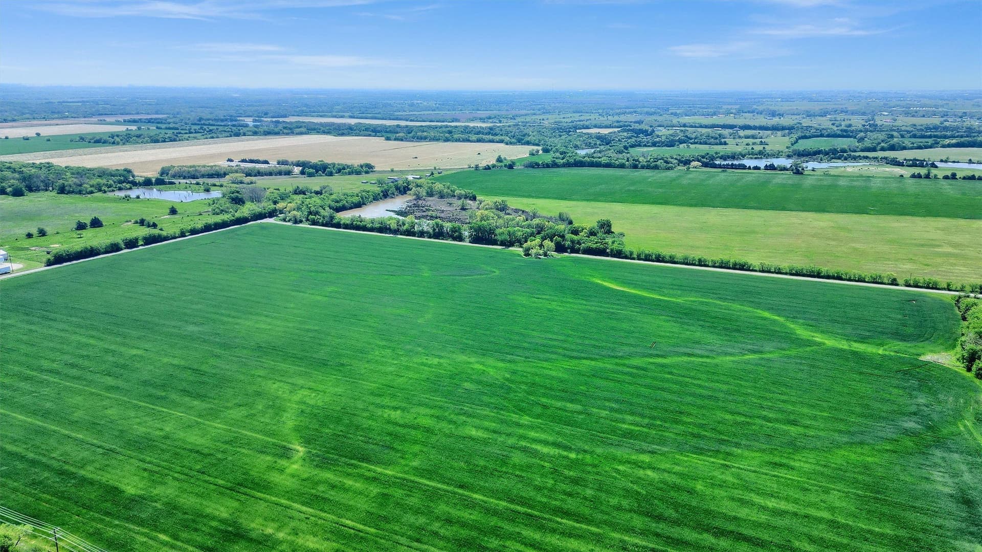 53.63 acres in Grayson County - photo 18