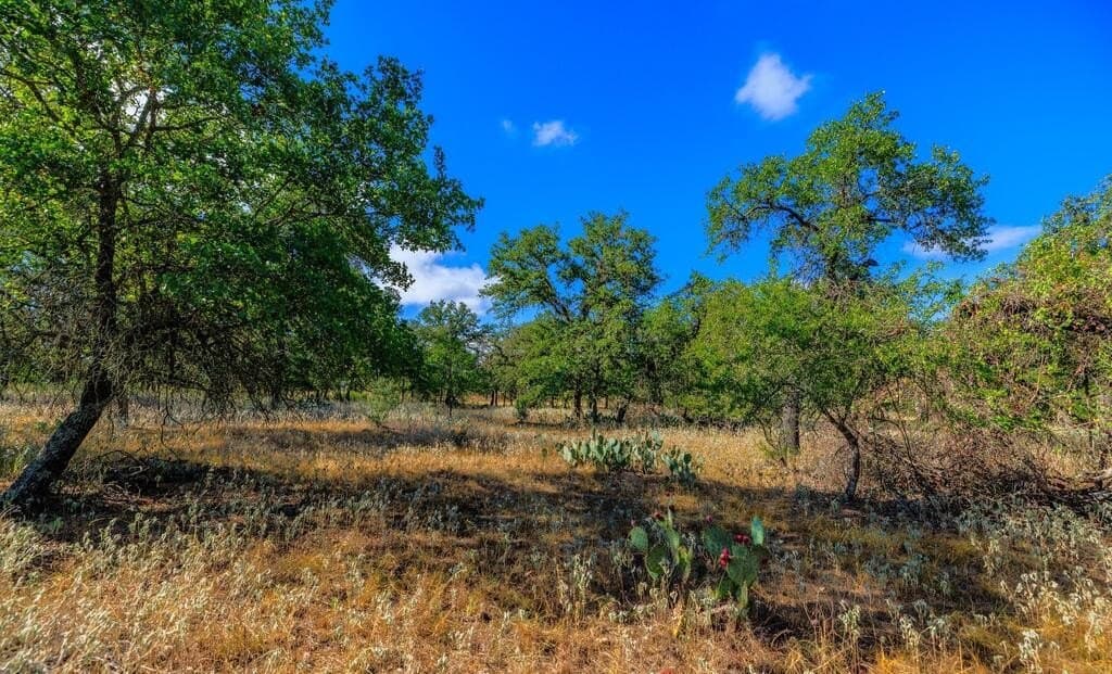 99.79 acres in Gillespie County - photo 16