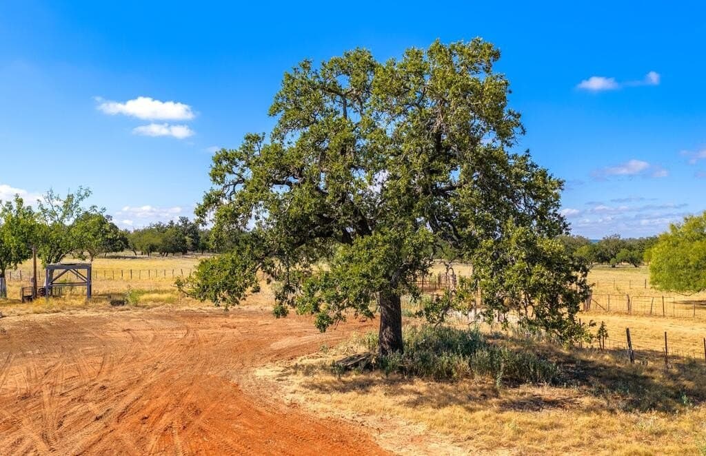 99.79 acres in Gillespie County - photo 8