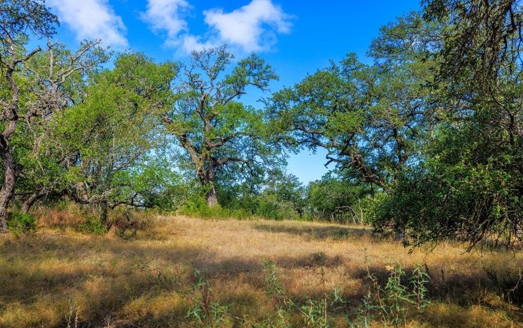 99.79 acres in Gillespie County - photo 21