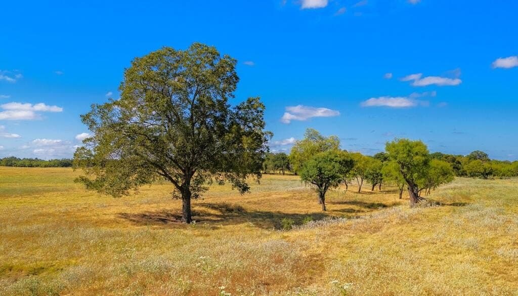 99.79 acres in Gillespie County - photo 7
