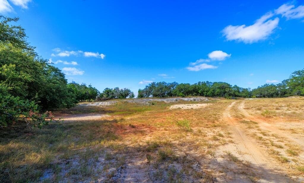 99.79 acres in Gillespie County - photo 19