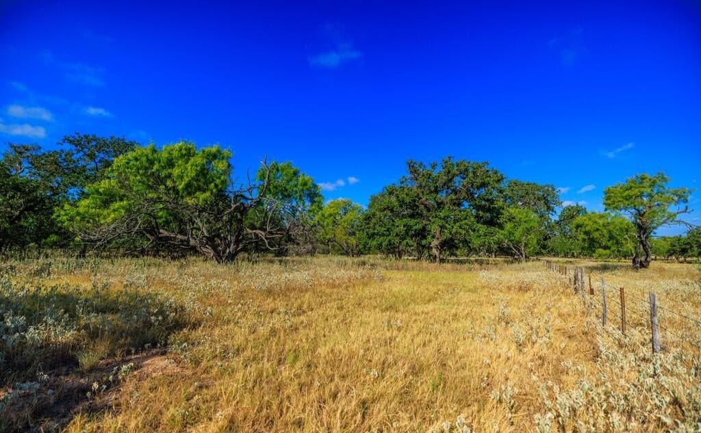 99.79 acres in Gillespie County - photo 15