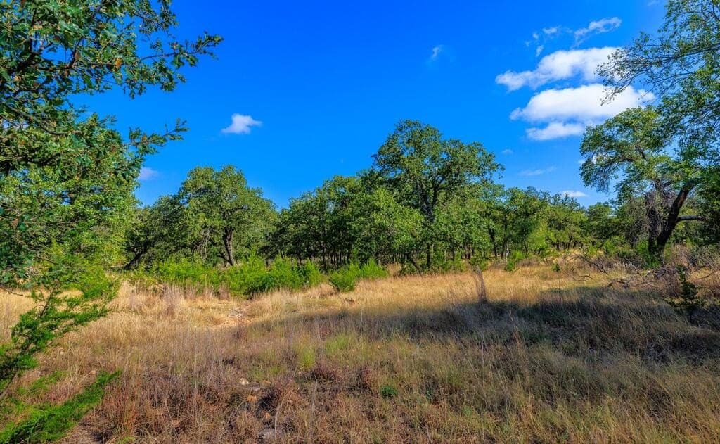 99.79 acres in Gillespie County - photo 17
