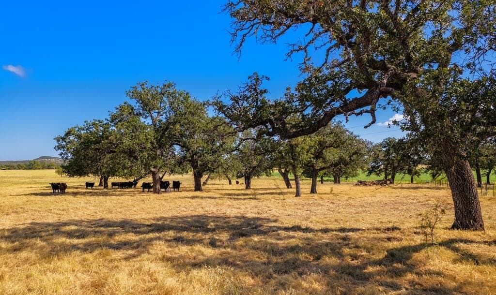 99.79 acres in Gillespie County - photo 10