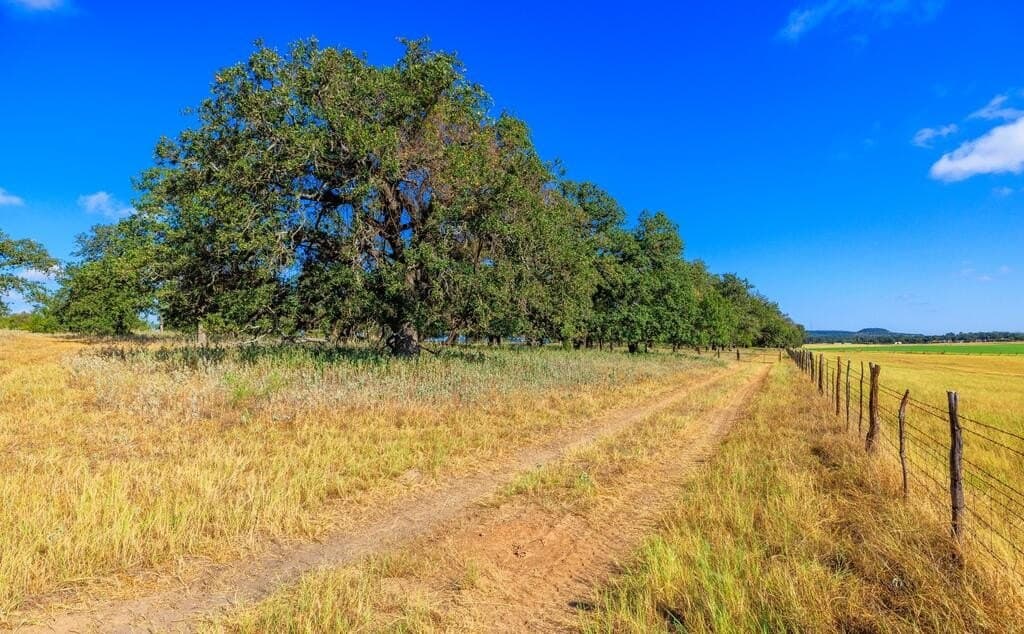 99.79 acres in Gillespie County - photo 14