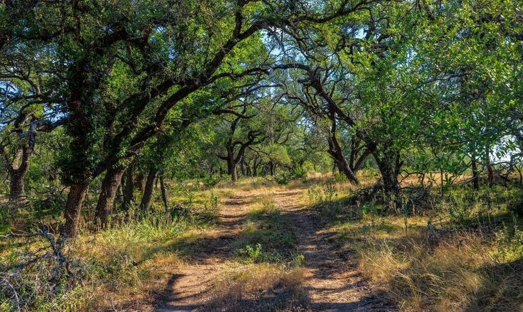 99.79 acres in Gillespie County - photo 18