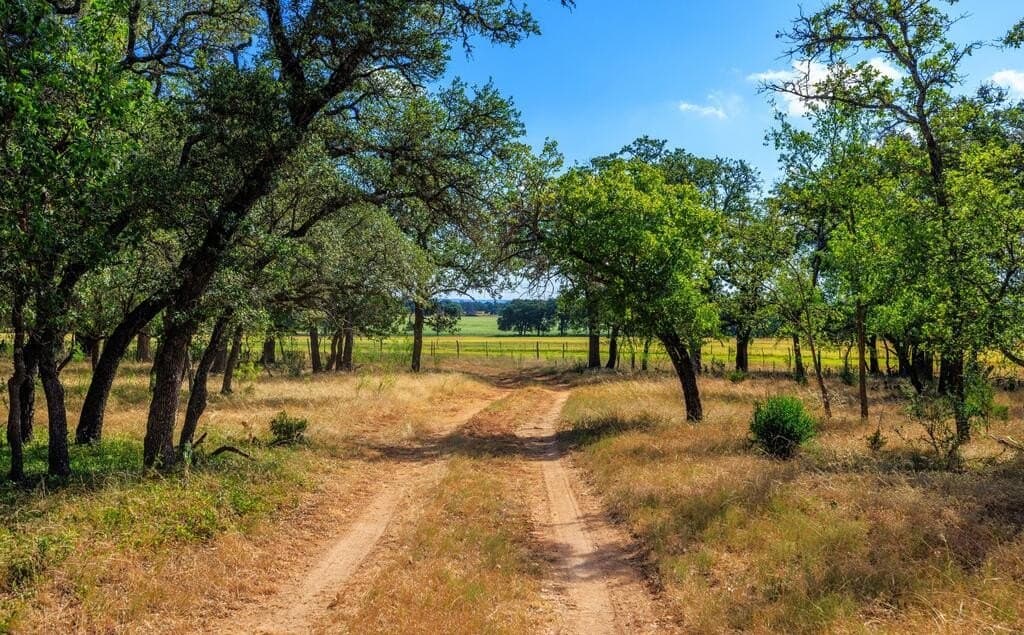 99.79 acres in Gillespie County - photo 20