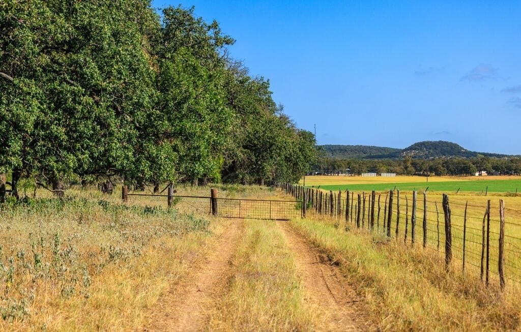 99.79 acres in Gillespie County - photo 12
