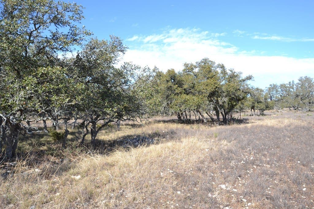 10.96 acres in Gillespie County - photo 8