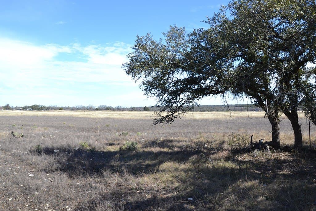 10.96 acres in Gillespie County - photo 9