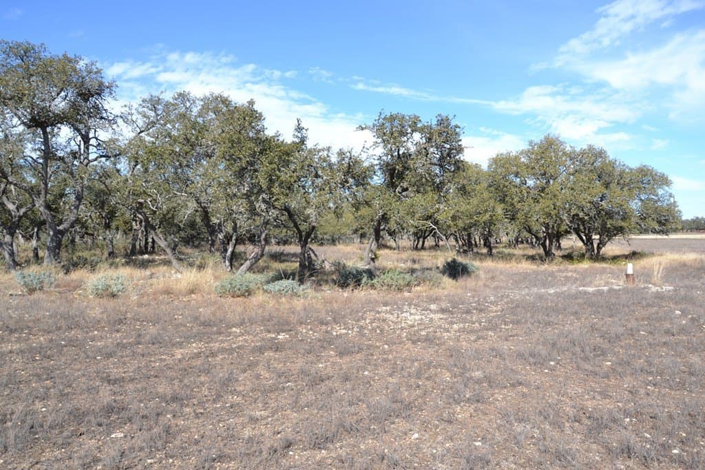 10.96 acres in Gillespie County - photo 6