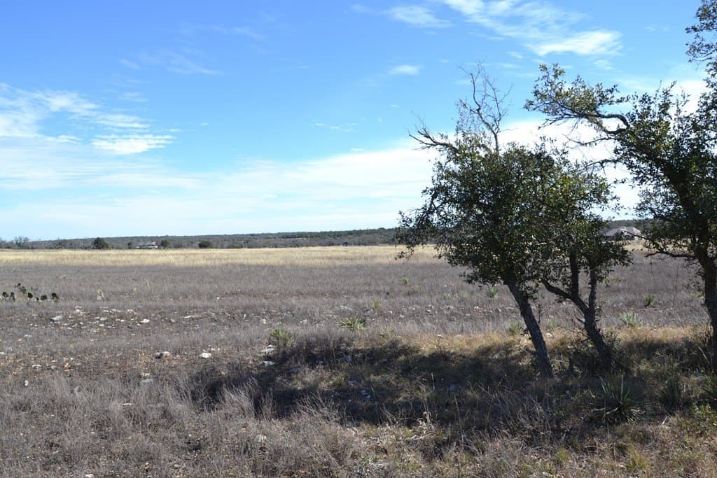 10.96 acres in Gillespie County - photo 10