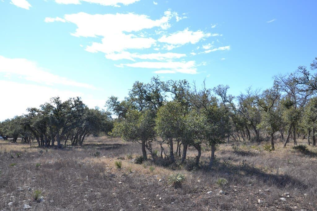 10.96 acres in Gillespie County - photo 11