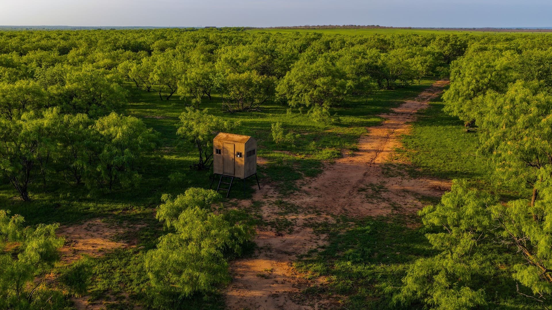 489 acres in Young County - photo 33