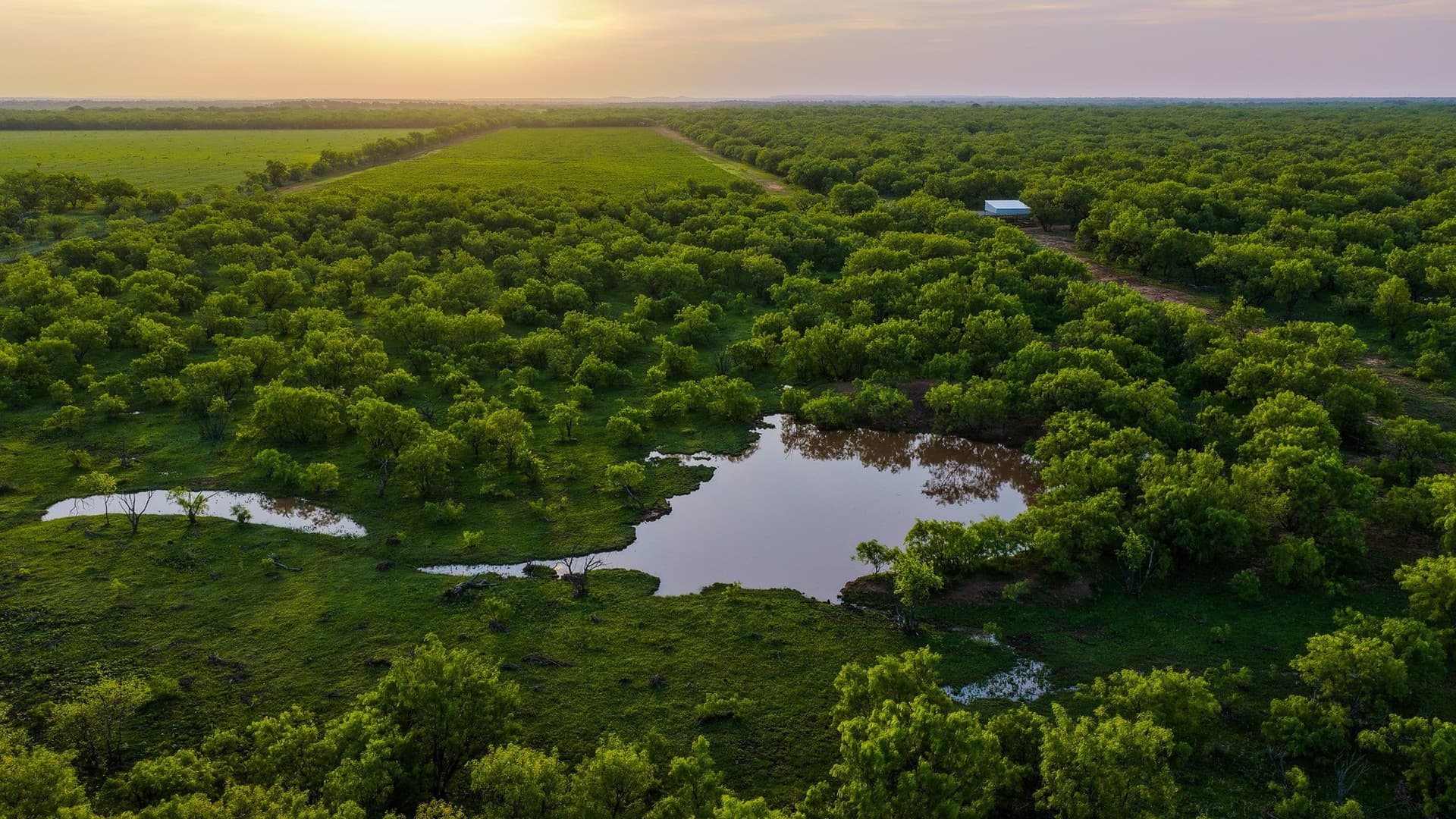 489 acres in Young County - photo 20