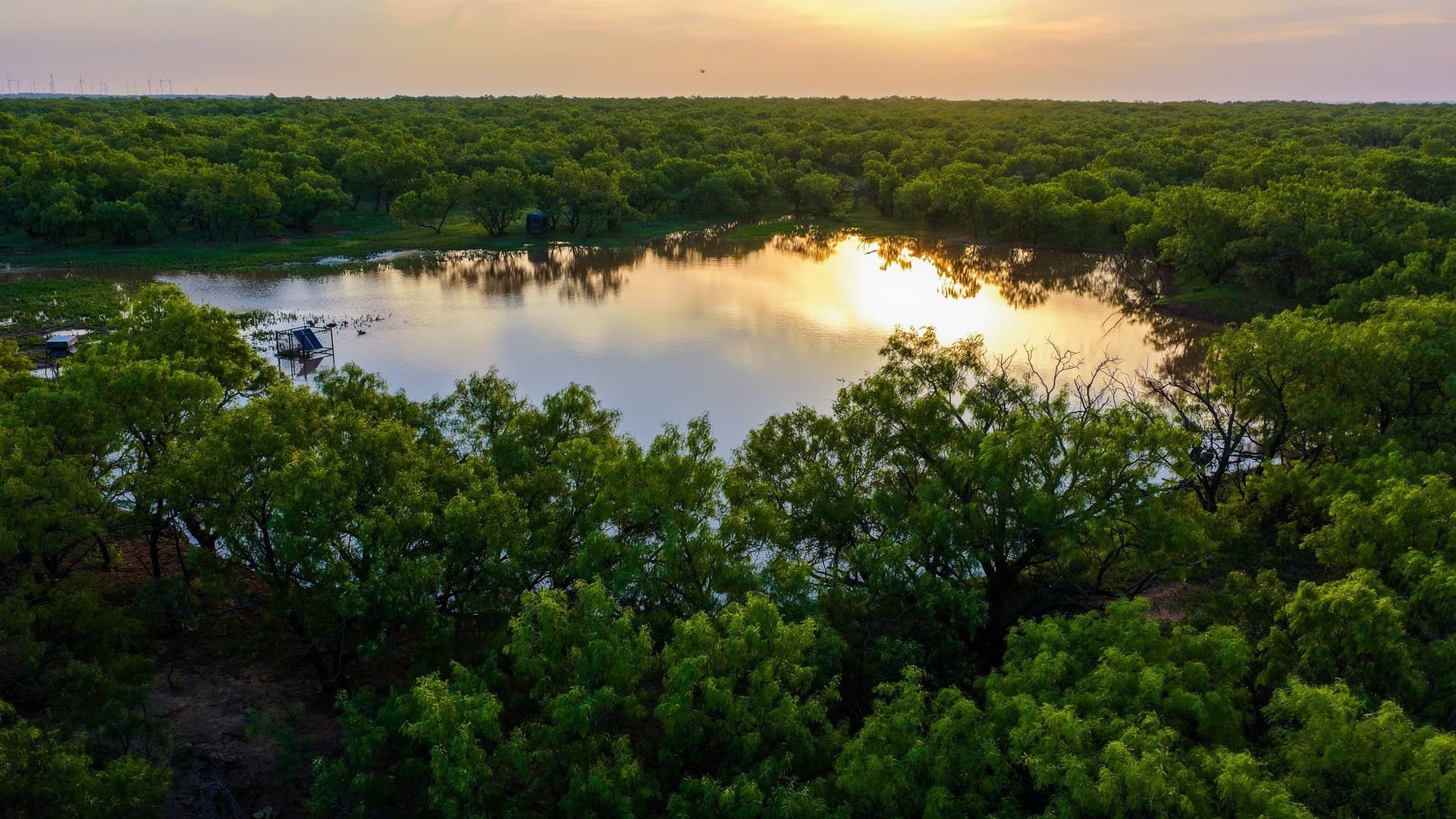 489 acres in Young County - photo 23