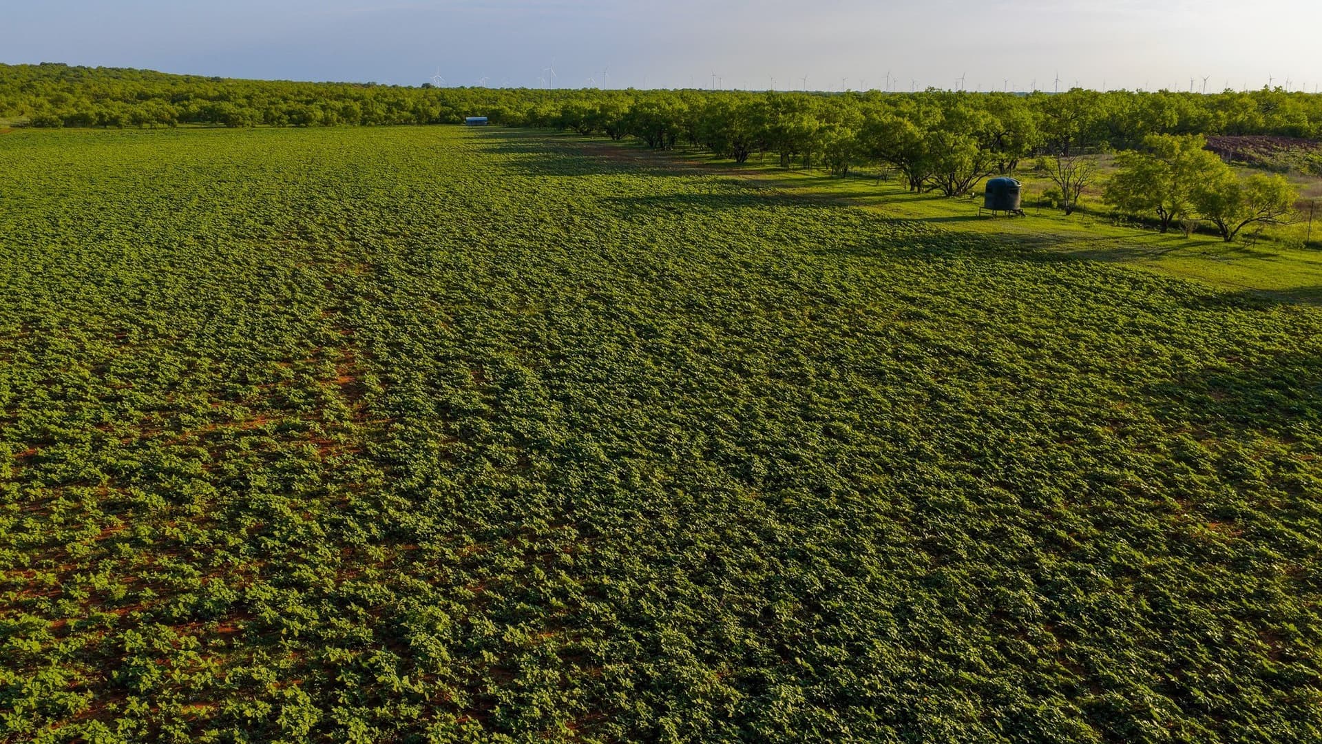 489 acres in Young County - photo 35
