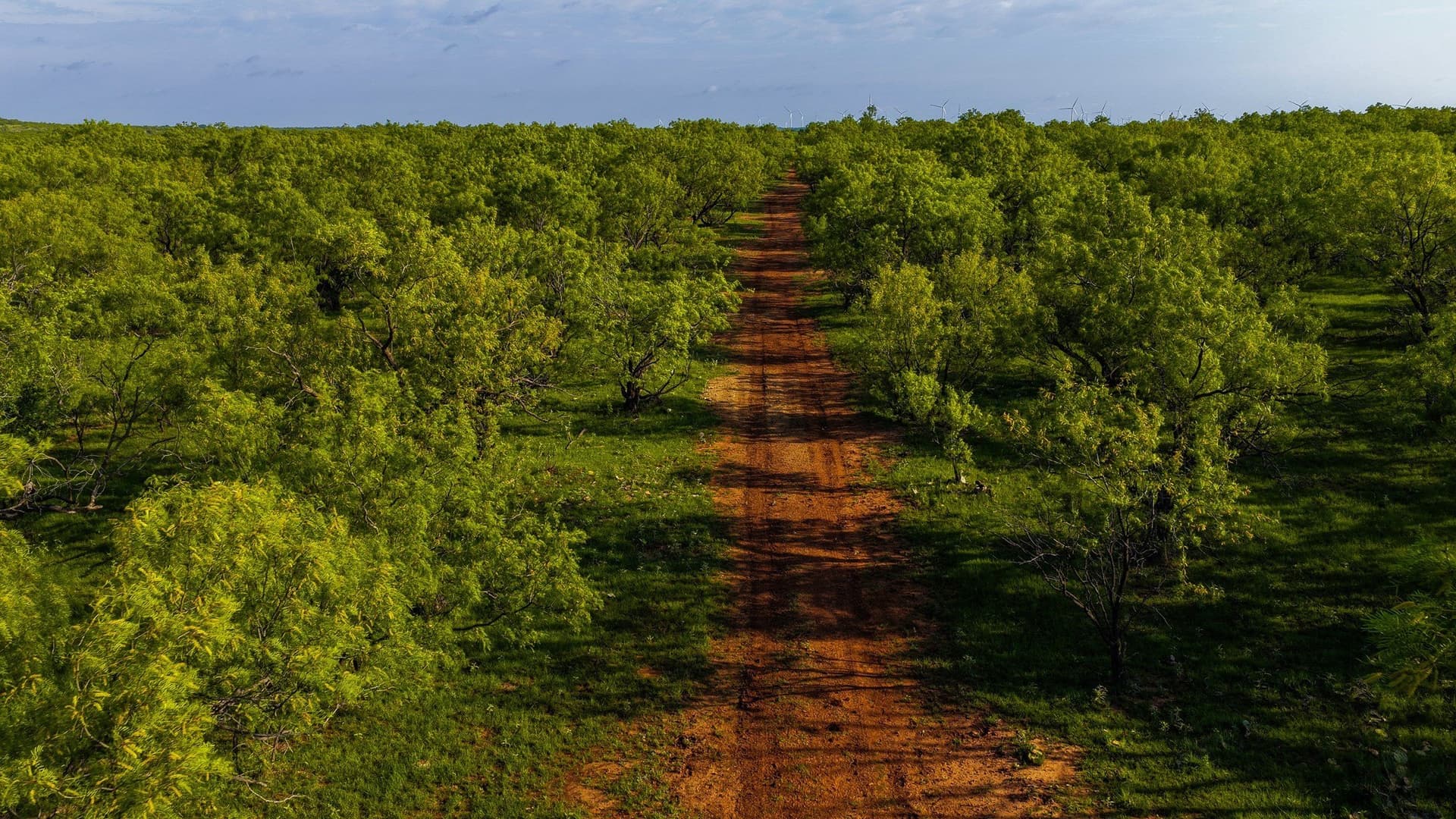 489 acres in Young County - photo 31