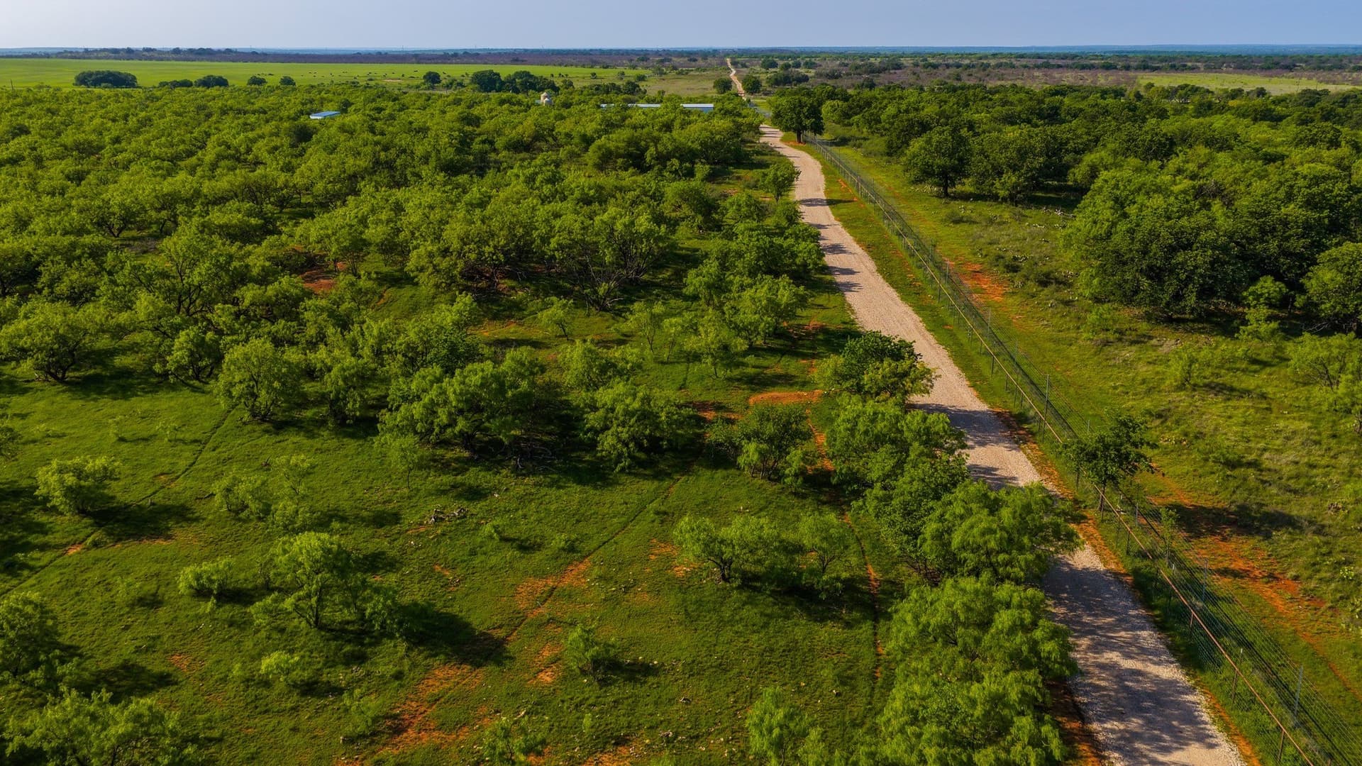 489 acres in Young County - photo 22