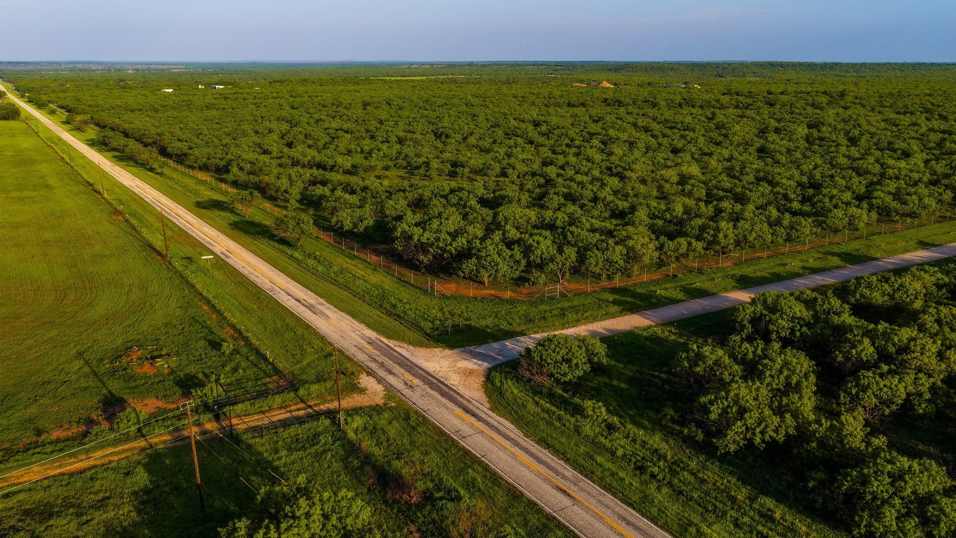 489 acres in Young County - photo 38