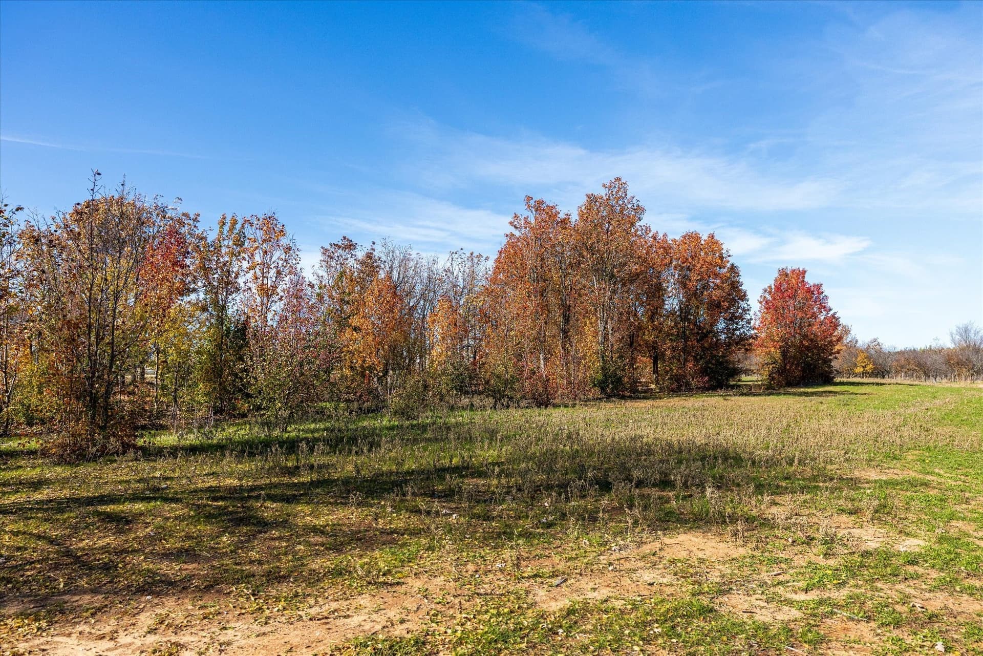 123 acres in Erath County - photo 15