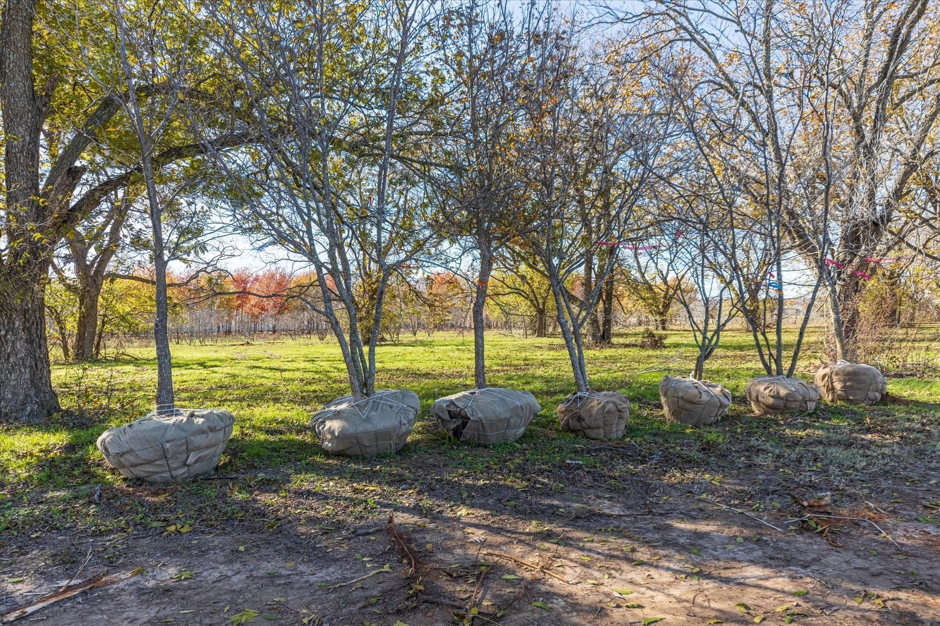 123 acres in Erath County - photo 38