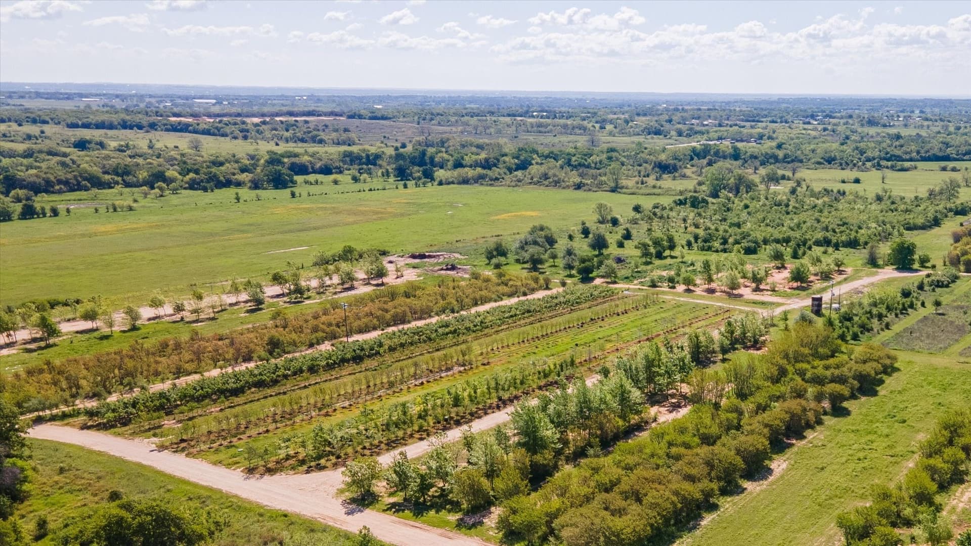 123 acres in Erath County - photo 11