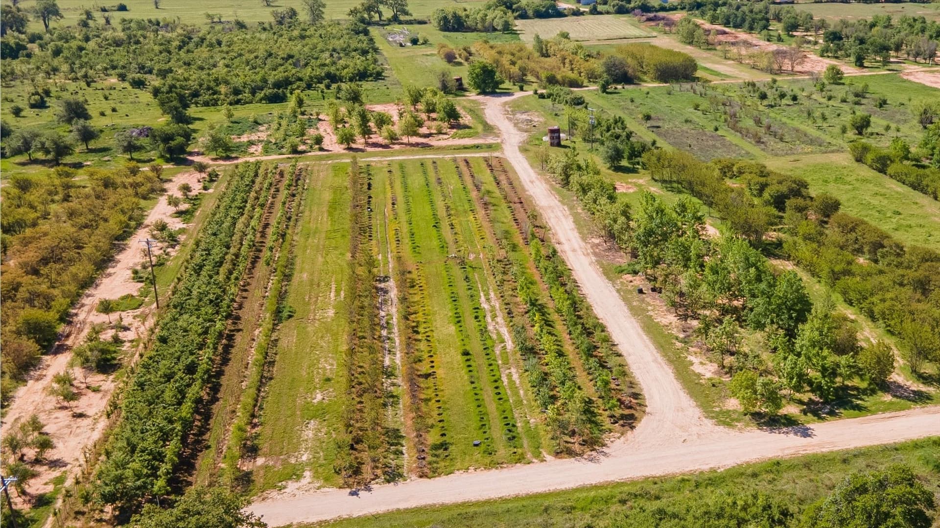 123 acres in Erath County - photo 10