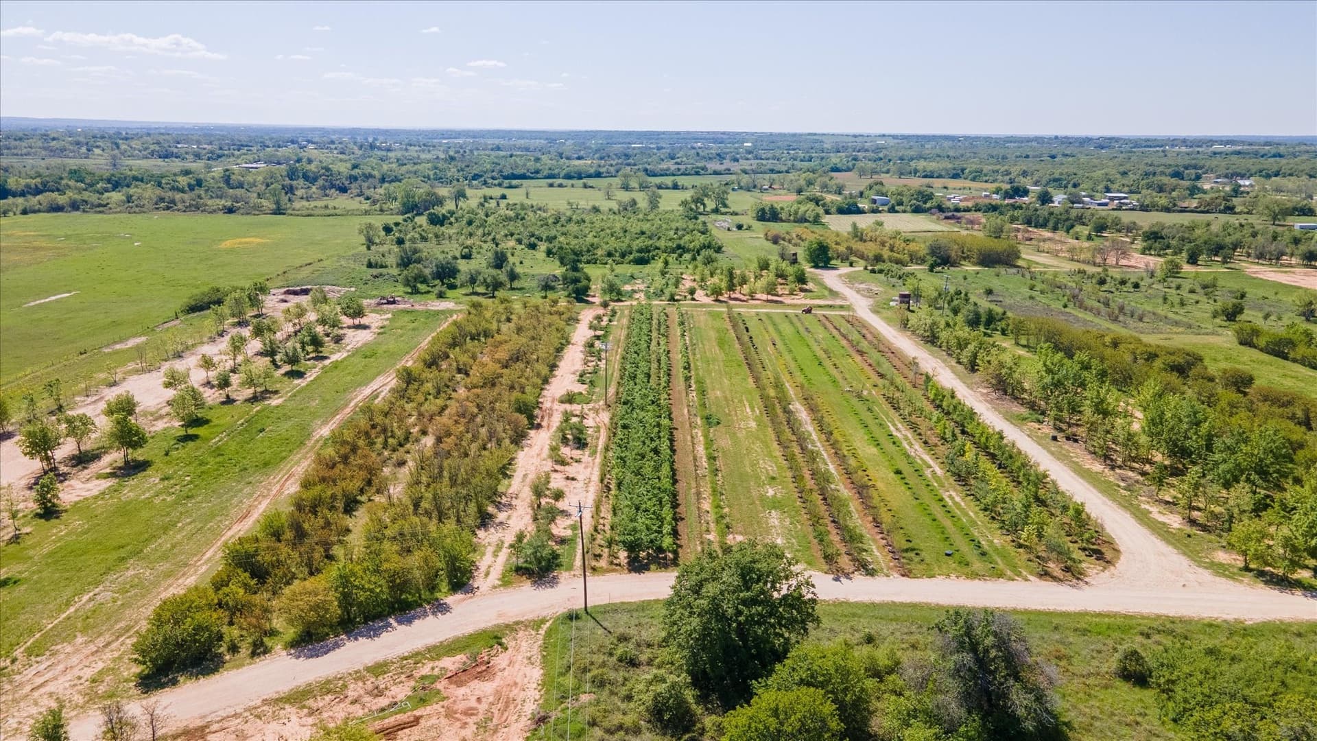 123 acres in Erath County - photo 33