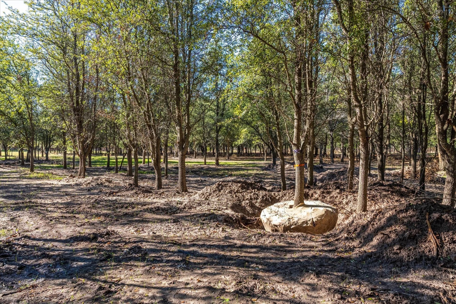 123 acres in Erath County - photo 17