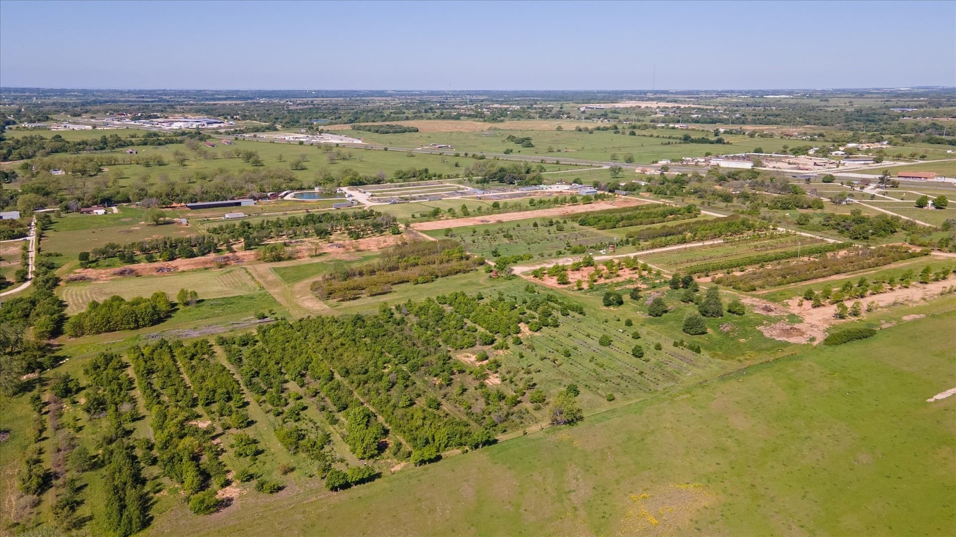 123 acres in Erath County - photo 14