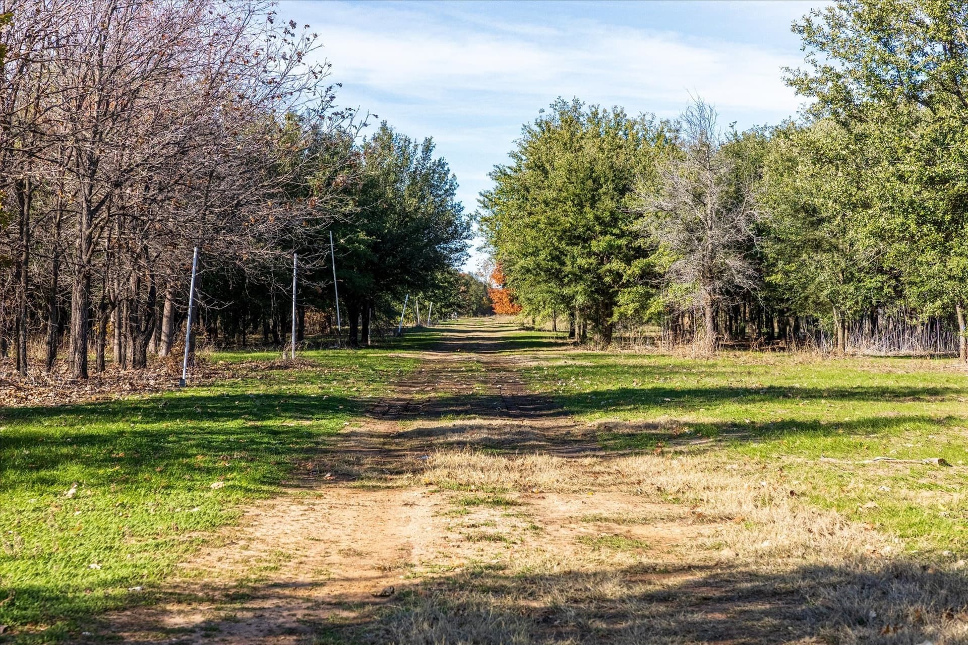 123 acres in Erath County - photo 16