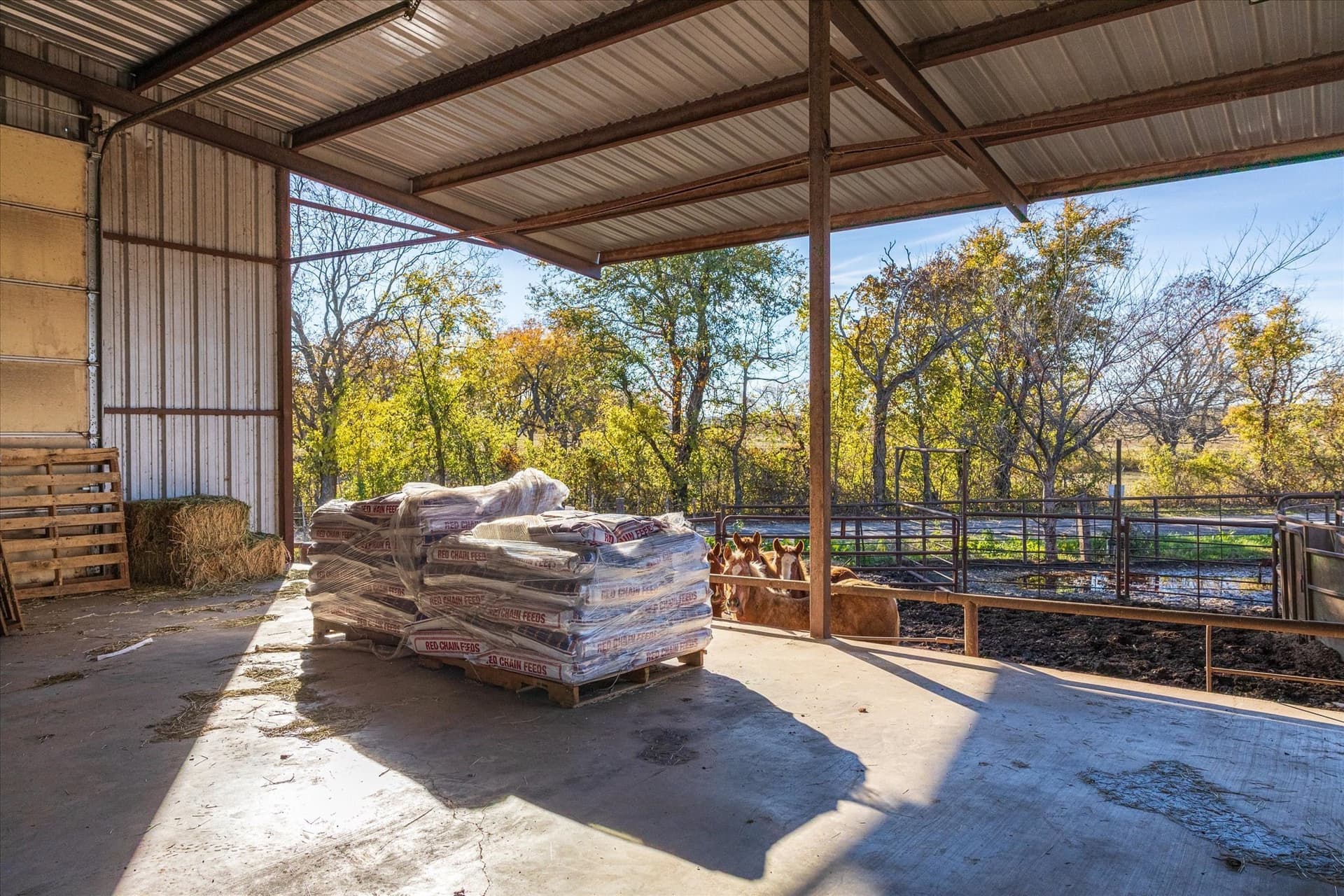 123 acres in Erath County - photo 21
