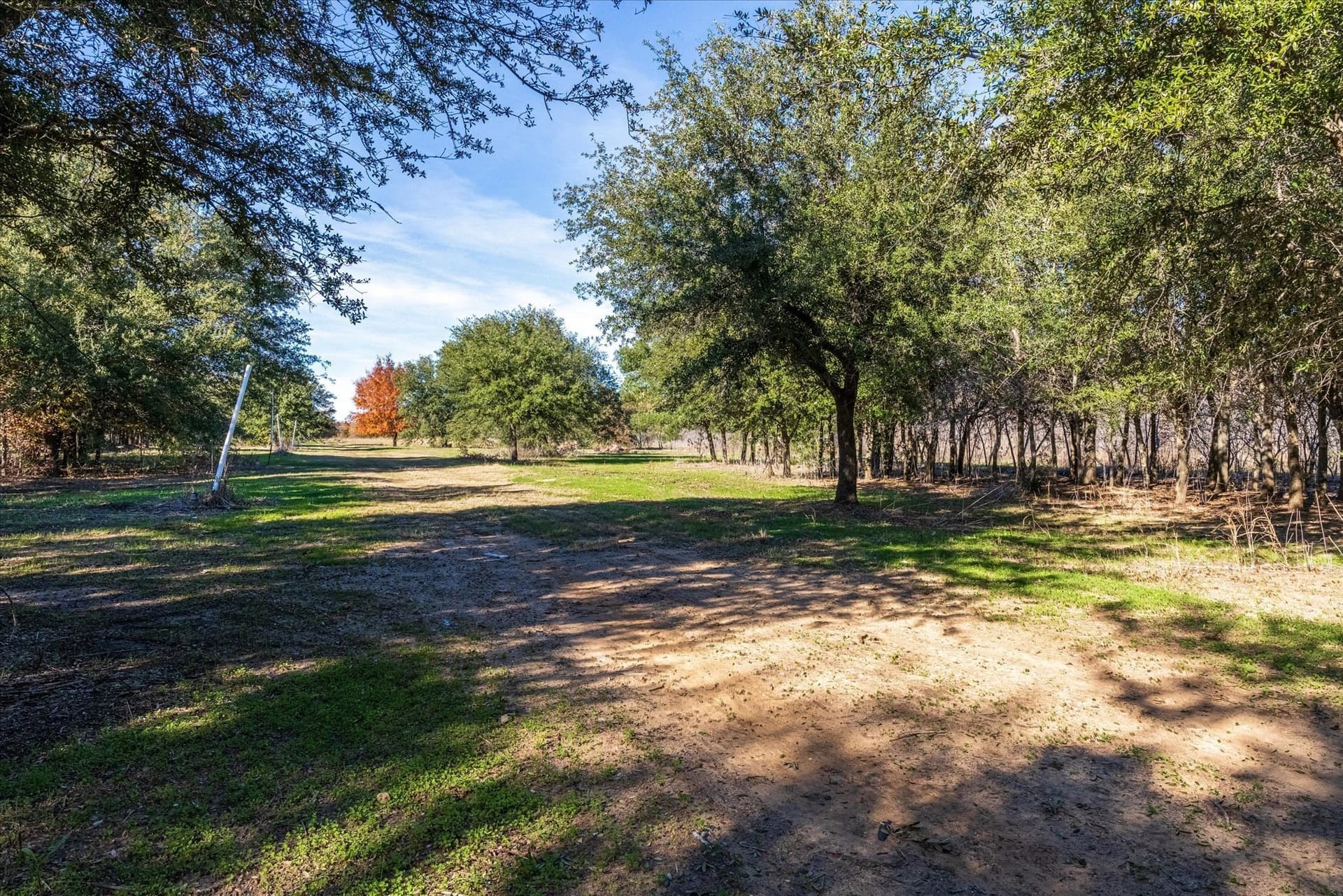 123 acres in Erath County - photo 18